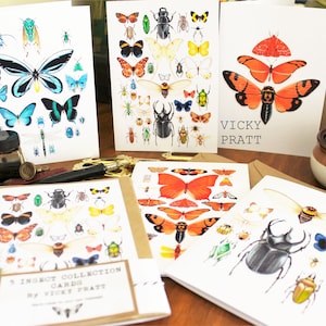 5 CARTE COLLEZIONE INSETTI. 5 buste kraft.