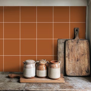 May include: Three ceramic jars with lids, in shades of white and brown, are arranged on a wooden chopping board. The jars are in front of a wall of orange square tiles.