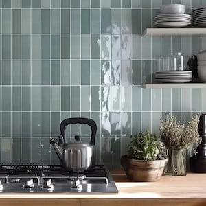 Peut inclure: Une bouilloire en acier inoxydable avec une poignée noire est posée sur une cuisinière noire et argentée devant un mur carrelé vert. Le mur comporte deux étagères avec des assiettes et des verres blancs. Il y a deux plantes en pot sur le comptoir.