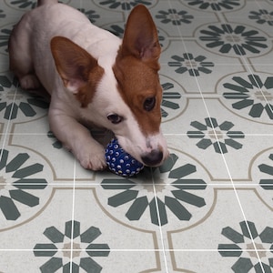 May include: A white and brown dog with floppy ears plays with a blue and black rubber toy on a white and grey tiled floor with a geometric pattern.