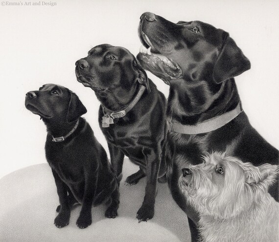 Labradory I Westie Dog Zamontowane Wydrukować Oryginalny Rysunek Ołówkiem