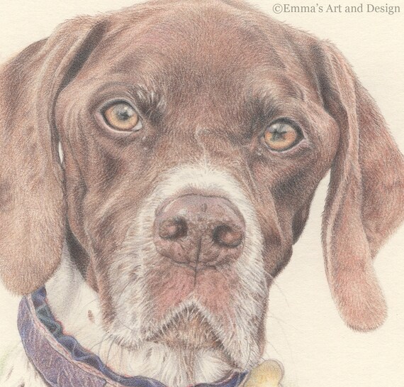 Dessin Chien Monté Imprimé De Dessin Crayon De Couleur Original