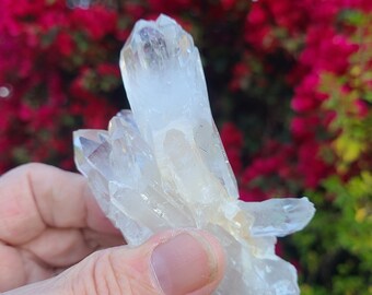 Self Healed to Double Terminated Rainbow Abundance Multi Cathedral, Multi Bridge Master Quartz Crystal Collector Crystal, One of a Kind