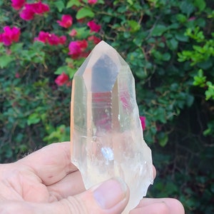 Pink Lemurian Channeling Quartz, Lemurian Healing Crystal, Lemurian Seed, Rainbow Quartz Crystal Power, AAA Lemurian Collectors Crystal