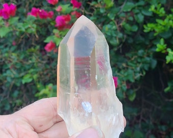 Pink Lemurian Channeling Quartz, Lemurian Healing Crystal, Lemurian Seed, Rainbow Quartz Crystal Power, AAA Lemurian Collectors Crystal