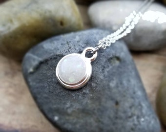 Pet Ashes Cremation Necklace: Rhodium Silver Memorial Jewelry