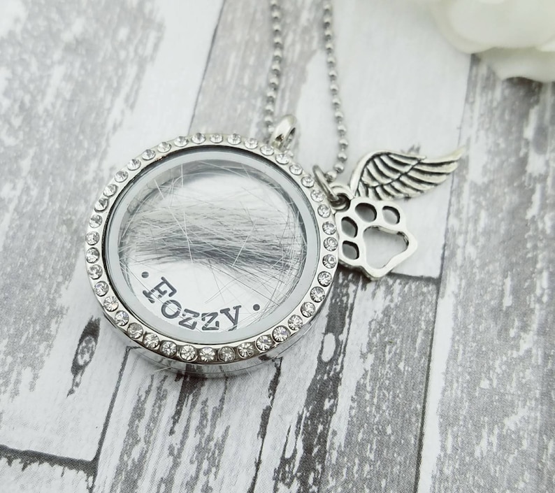 Pet Loss Memorial Locket Necklace for Pet's Hair Custom Etsy UK