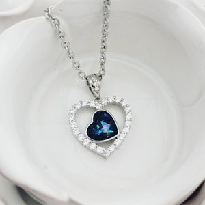 Sterling Silver Cremation Necklace - CZ Heart Pet Loss Necklace Memorial Jewelry -Pet Cremation Jewelry Memorial Keepsake Urn Necklace