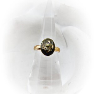 Oval Cremation Ring Gold Plated Stainless Steel Memorial Ring Cremation Jewelry Gold Rose Stacking Rings Pet Memorial Ring Pet Loss Jewelry