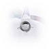 see more listings in the Cremation Rings  section