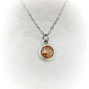 Pet Cremation Necklace Pet Loss Gift Pet Ash Jewelry Pet Memorial Jewelry Pet Cremation Jewelry Memorial Urn Necklace Ashes Necklace Ashes