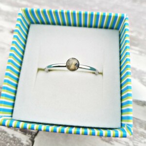 Anneau de crémation en acier inoxydable : anneau pour urnes commémoratives des cendres d&#39;animaux de compagnie