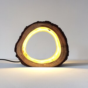 Small LED Log Light Table Lamp Desk Light Real Wooden Log Hollow Unusual Bedside Office Natural Repurposed Upcycled Wood