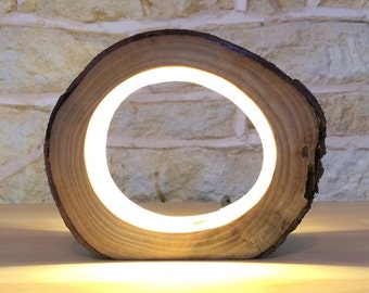 Small LED Log Light Table Lamp Desk Light Real Wooden Log Hollow Unusual Bedside Office Natural Repurposed Upcycled Wood