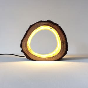 Small LED Log Light Table Lamp Desk Light Real Wooden Log Hollow Unusual Bedside Office Natural Repurposed Upcycled Wood image 6