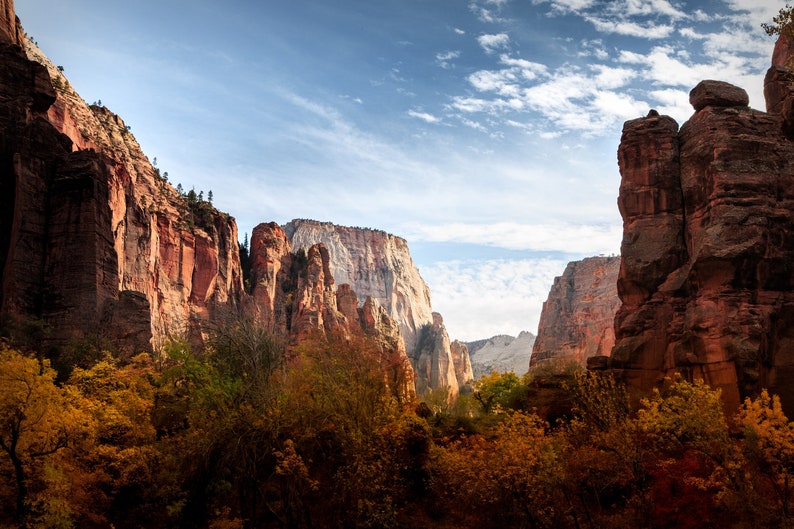 Zion National Park Art Print Landscape Utah Wall Home Decor Landscape Lovers Home Decor Design No 9949 image 5