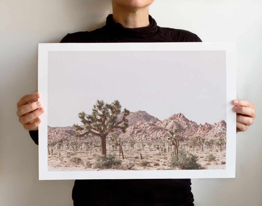 Joshua Tree National Park Art Print - Wall Home Decor - Landscape ...