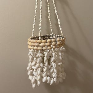 Suspension pour plante avec cauris - 50 cm