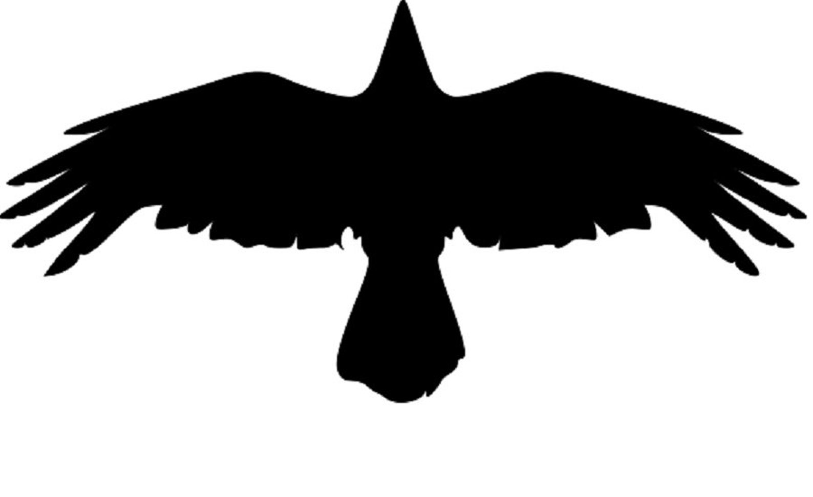 Flying Crow Stencil REUSABLE 10 X 5 INCH Etsy