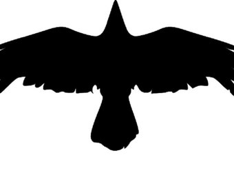 Flying Crow Stencil - RE-USABLE 10 x 5 INCH