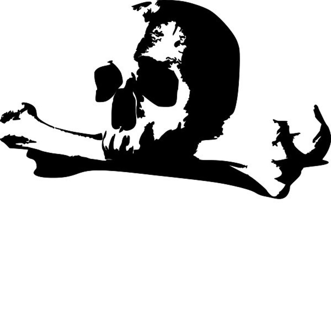 Skull and Bones Stencil RE-USABLE 10 X 6 Inch Each - Etsy