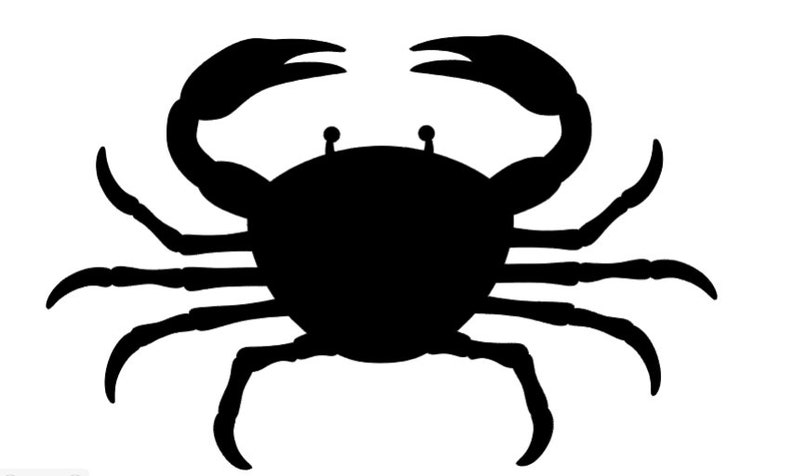 Daily bargain sale Crab Re-Usable Stencil 10 inch Design 6.5 1 x Fort Worth Mall