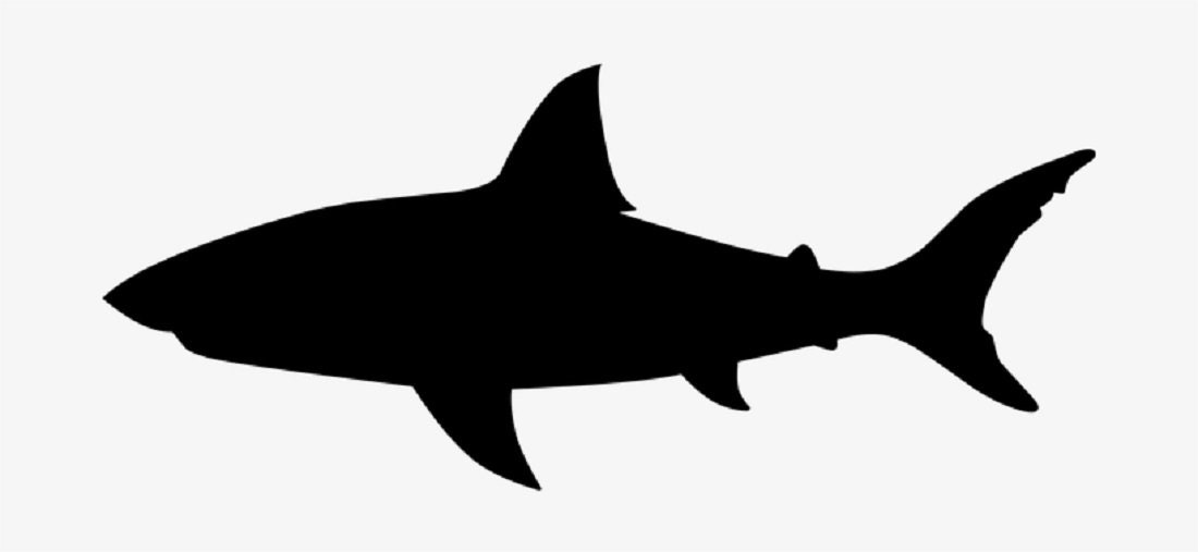 Shark Stencil Shark Stencil