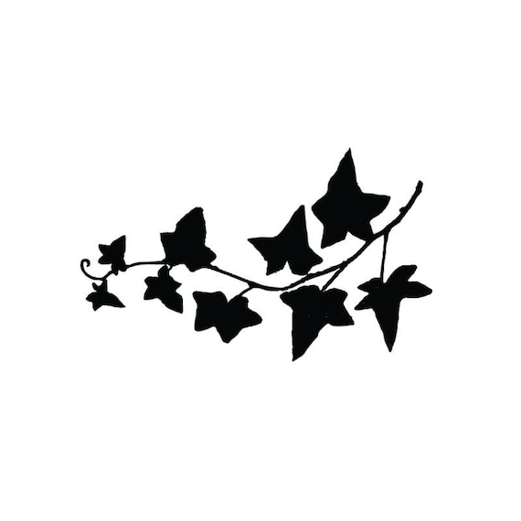 Ivy Cutting Stencil SVG File Etsy ivy-cutting-stencil-svg-file-etsy
