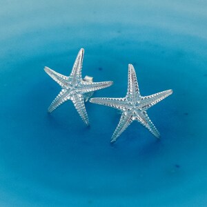 Puede incluir: Un par de pendientes de estrella de mar plateados sobre un fondo azul.