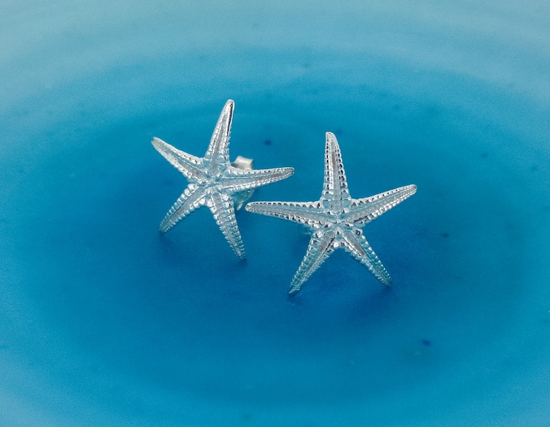Puede incluir: Un par de pendientes de estrella de mar plateados sobre un fondo azul.