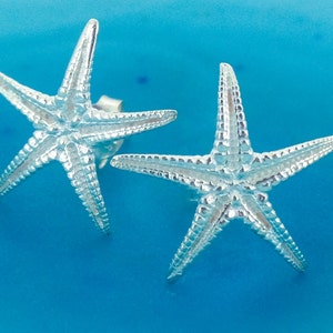 Puede incluir: Un par de pendientes de estrella de mar de plata. Los pendientes son peque&ntilde;os y delicados, y ser&iacute;an un gran regalo para alguien que ama el oc&eacute;ano.