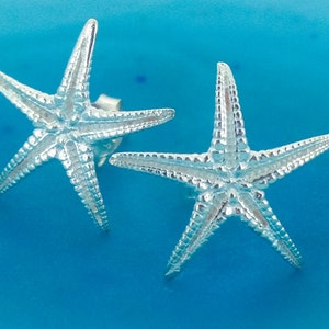 Puede incluir: Un par de pendientes de estrella de mar de plata. Los pendientes son peque&ntilde;os y delicados, y ser&iacute;an un gran regalo para alguien que ama el oc&eacute;ano.