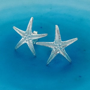 Puede incluir: Un par de pendientes de estrella de mar de plata sobre un fondo azul.