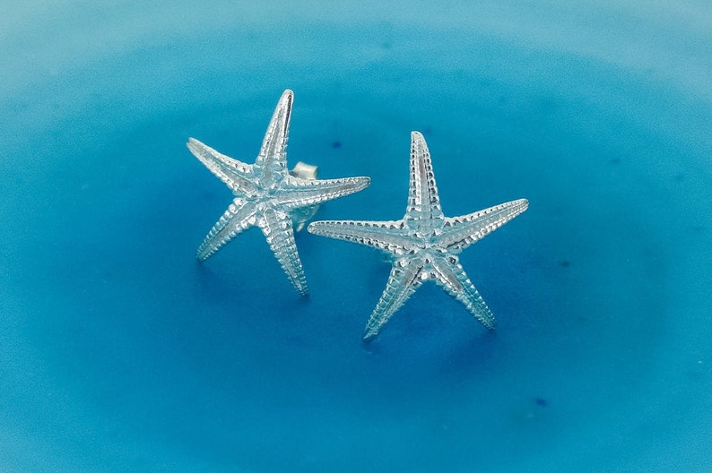 Puede incluir: Un par de pendientes de estrella de mar de plata sobre un fondo azul.