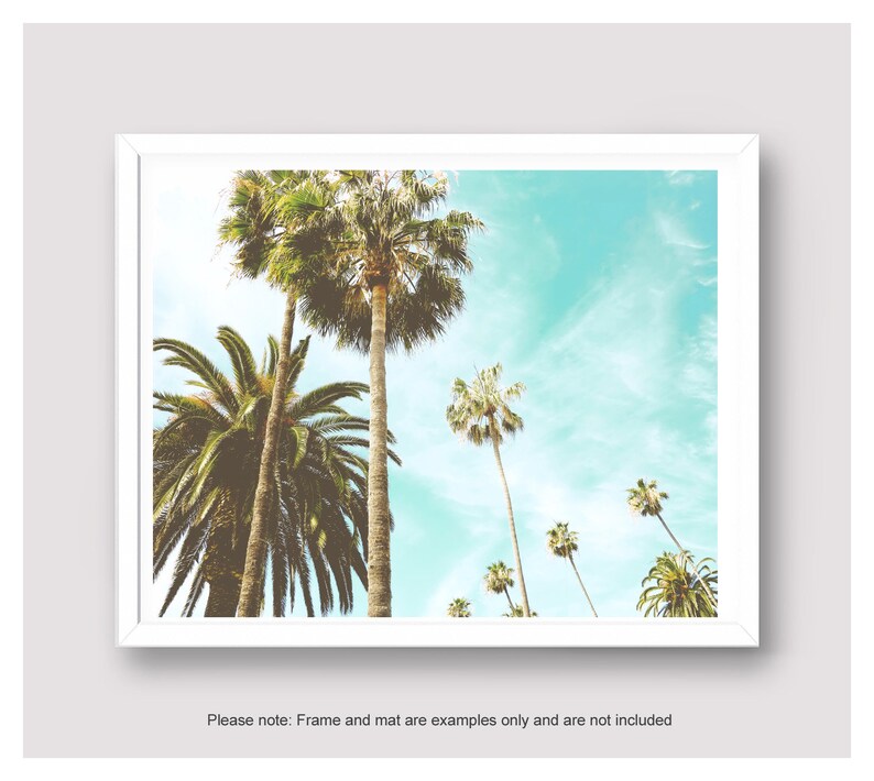 Palm Tree Print, Photography Print, Bathroom Wall Art, Teal Wall Decor, Entryway Art, Laguna Beach Picture, Bedroom Wall Art, Small Photo image 2