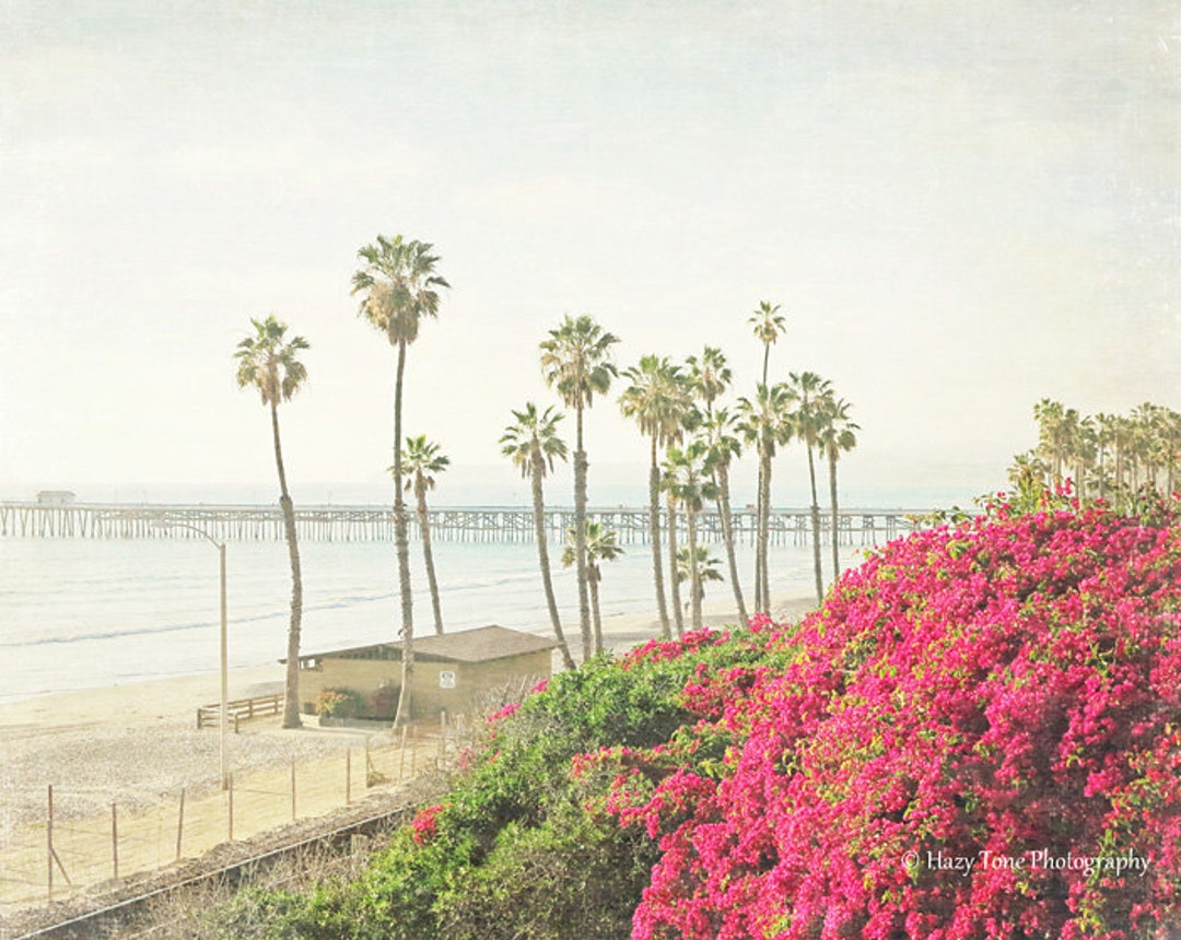 Beach Photography, Wall Art Print, Beach Scene Photograph, Palm Trees