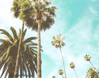 Palm Tree Print, Photography Print, Bathroom Wall Art, Teal Wall Decor, Entryway Art, Laguna Beach Picture, Bedroom Wall Art, Small Photo