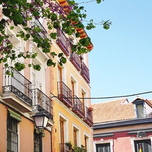 May include: A sunny street scene featuring buildings with balconies and ornate ironwork. The buildings are painted in shades of peach and yellow, with red tile roofs. A tree with purple flowers and green leaves frames the top of the image against a clear blue sky.