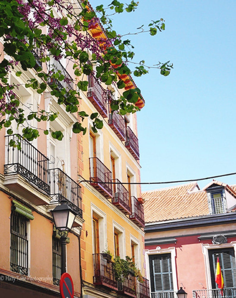 May include: A sunny street scene featuring buildings with balconies and ornate ironwork. The buildings are painted in shades of peach and yellow, with red tile roofs. A tree with purple flowers and green leaves frames the top of the image against a clear blue sky.