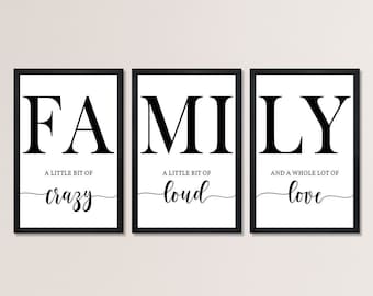 Family a little bit of crazy a little bit of loud-Family sign wood for above couch-living room decor sign-set of 3 wall art living room wall