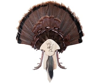 Turkey tail & wing mount-turkey fan mount-turkey fan holder-turkey fan plaque-turkey fan display