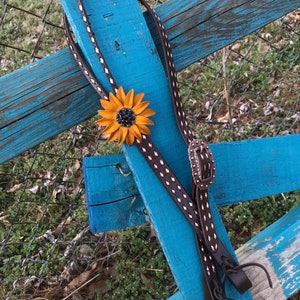 Puede incluir: Cabestro de cuero marrón para caballo con una concho de girasol y una hebilla de cobre. El cabestro tiene un patrón de diamante con costuras blancas.