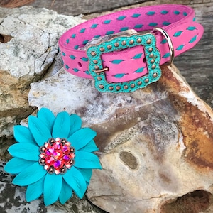 Różowa skórzana obroża dla psa Buckstitch Bubble Gum. Turkusowa obroża dla psa Buckstitch. Różowa skórzana obroża