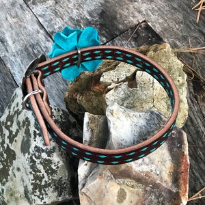 Rafter T Ranch Co. Turquoise Washed Dog Collar with White Buckstitch