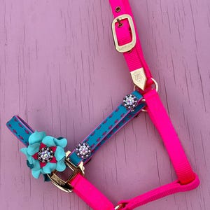 May include: A vibrant pink and turquoise horse halter. The halter features a bright pink strap with gold-colored hardware and turquoise accents. Decorative elements include a turquoise flower and sparkling crystal embellishments.