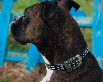 Black Leather Dog Collar with White Buckstitch, Western Style