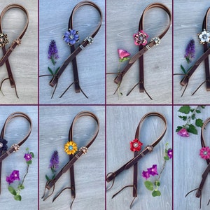 May include: Eight brown leather reins with decorative flower-shaped conchos in various colors, including purple, pink, red, yellow, and black.