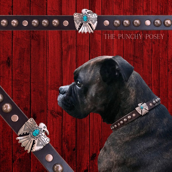Leather Thunderbird Dog Collar. Chocolate leather dog collar. Western Dog Collar