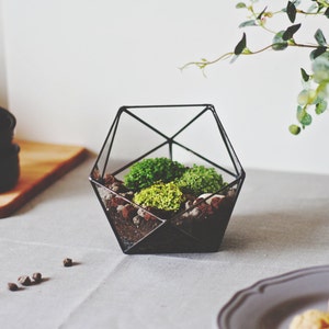 Geometric Glass Terrarium Container, Modern Planter, Coffee Table Decor Black