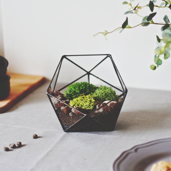 Geometric Glass Terrarium Container, Modern Planter, Coffee Table Decor